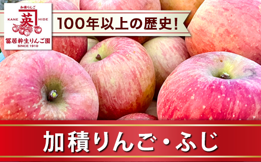 ふじりんごとふじりんごジュース、りんごジャムのセット ※2025年12月上旬～2026年3月下旬頃に順次発送予定 ※北海道・沖縄・離島への配送不可