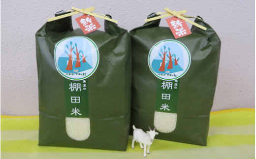 【早期予約】米 令和7年産 コシヒカリ 10kg 無洗米 棚田米 (5kg×2袋) ヤギの杜｜富山 こめ コメ お米 おこめ 白米 精米 新米 ※北海道・沖縄・離島への配送不可 ※2025年10月上旬頃より順次発送予定