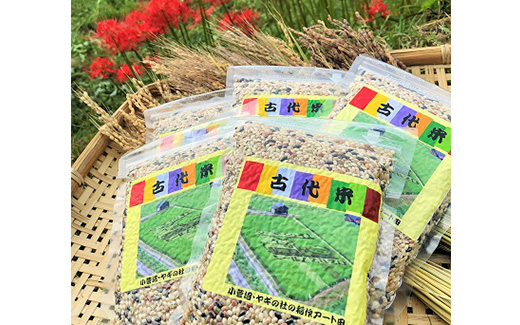 【ふるさと納税】古代米（玄米）1.5kg（300g×5袋） 富山県 ヤギの杜 魚津市 ｜ 新米 こめ コメ お米 おこめ 黒米 赤米 緑米 ビタミン びたみん ミネラル みねらる 伏流水 自慢 富山 魚津※北海道・沖縄・離島への配送不可