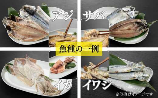 おまかせ訳あり干物セット（3～5種） 約2.5kg 富山 魚津 浜浦水産 自家用 家庭用