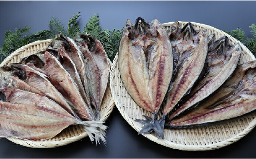 脂がのった大型干物　開きあじ6尾　開きサバ4尾