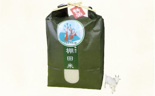 米 令和7年 コシヒカリ 5kg 無洗米 棚田米 ※北海道・沖縄・離島への配送不可