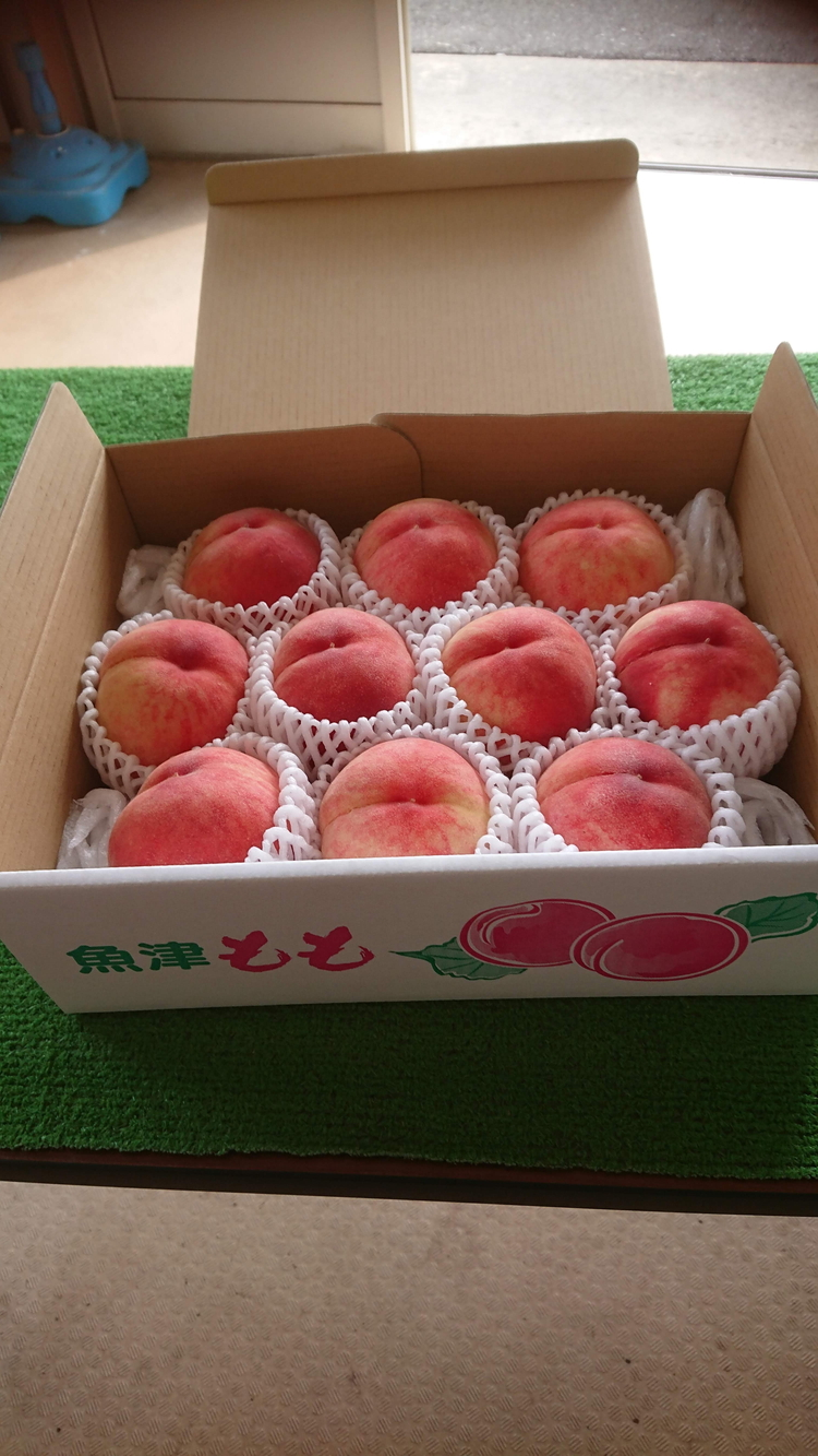 【先行受付】魚津の桃「品種おまかせ」約3kg ヴィータ・デ・フルッタ関口農園 ※北海道・沖縄・離島への配送不可 ※2025年7月下旬～8月上旬頃に順次発送予定