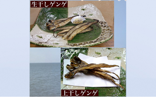 【富山湾深海魚】ゲンゲの干物 2種セット（上干し・生干し  各2袋）ハマオカ海の幸