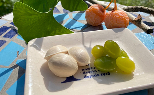 桃山ぶどう園の『ぎんなん(殻付き)』Mサイズ　約1kg　※北海道・沖縄・離島への配送不可　※2025年11月上旬頃より順次発送予定