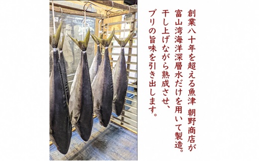 富山湾深層水仕込みの汐ブリ（塩ブリ・養殖）4切×2パック