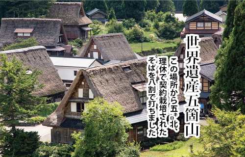 【お中元】富山県南砺産そば粉使用 細切り八割そば四食詰合せ ｜ 麺 蕎麦 ギフト 贈答 石川製麺 ※2025年5月下旬～8月中旬頃に順次発送予定 ※北海道・沖縄・離島への配送不可