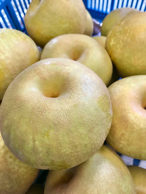 【早期予約】魚津：林秋男果樹園の完熟梨「幸水」5kg｜フルーツ なし 富山県魚津市　※北海道・沖縄・離島への配送不可　※2025年8月中旬頃より順次発送予定