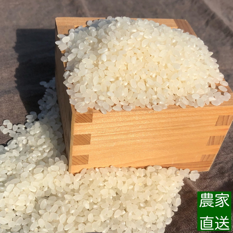 【令和7年度米】農家直送「 富富富 」10kg（白米）｜富山米 ふふふ　※北海道・沖縄・離島への配送不可