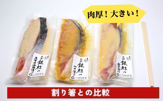 【12ヵ月定期便】【セット】干物屋の天然銀鮭3種ずつセット（西京漬け、味噌漬け、粕漬け）15切セット ※北海道・沖縄・離島への配送不可
