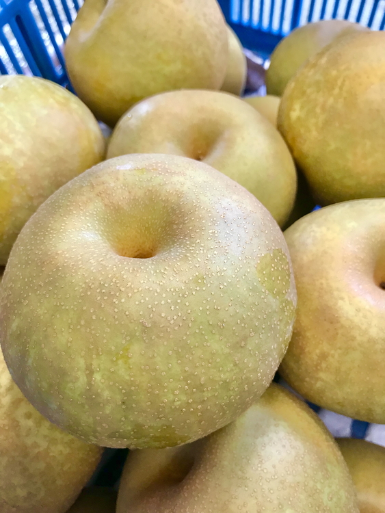 【早期予約】【プレミアム】林秋男果樹園の完熟梨「幸水」5kg｜フルーツ なし 富山県魚津市　※北海道・沖縄・離島への配送不可　※2024年8月中旬頃より順次発送予定