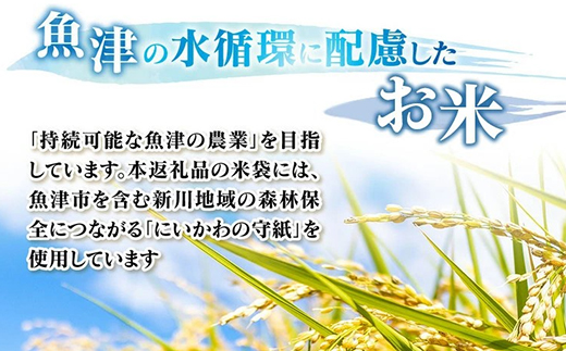 【令和7年度産米】【農家直送】環境配慮「魚津の富富富（晃米）」白米10kg ※北海道・沖縄・離島への配送不可