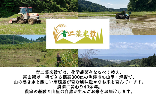 山の湧き水 寒暖差 山里 山里の米･坪野米 R7年産 環境保全米こしひかり 15kg　※北海道・沖縄・離島への配送不可　※2025年9月下旬～2025年10月中旬頃に順次発送予定