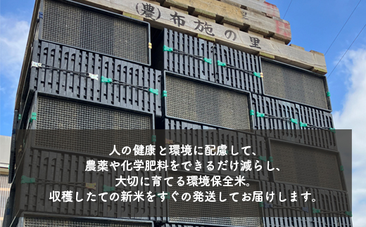 【先行予約】【R7年度産米】収穫後すぐにお届け 富山県魚津市 布施の里コシヒカリ玄米30kg ※北海道・沖縄・離島への配送不可　※2025年9月下旬頃より順次発送予定