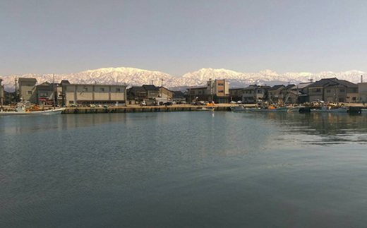 【富山の干物専門店】伝承の紅鮭10切 富山 魚津 ハマオカ海の幸