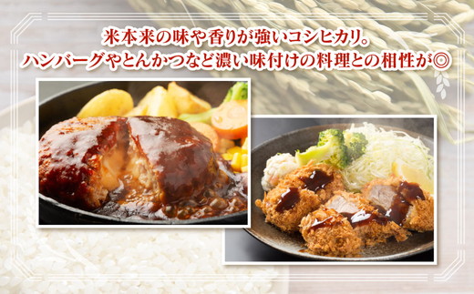 【令和7年度米】【9ヶ月定期便】富山県 うおづ産米「コシヒカリ」20kg（5kg×4袋）（精米）｜9ヶ月定期便 9回 9ヶ月 こしひかり こめ コメ お米 おこめ 白米 精米 雪解け水 香り うまみ あまみ 冷めても 美味しい おにぎり お弁当 高品質 魚津市 ※北海道・沖縄・離島への配送不可