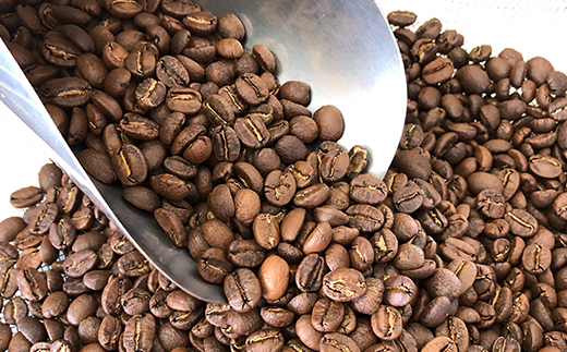 【豆】マサマキリマンジャロKIBO500g 自家焙煎コーヒーとみかわ 富山 魚津