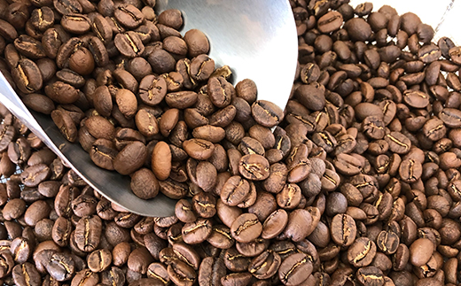 【粉】コロンビアアンジェリカ500g 自家焙煎コーヒーとみかわ 富山 魚津