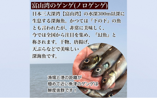 【富山湾深海魚】サク旨  ゲンゲの上干し×5袋（ゲンゲの干物） ハマオカ海の幸