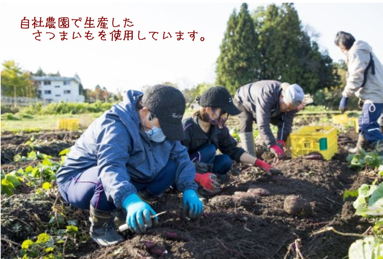 【ぶどうの森】訳あり：ドライモお楽しみセット ｜ ほしいも ほし芋 干し芋 干しいも 国産 野菜 サツマイモ さつまいも ※北海道・沖縄・離島への配送不可 ※2026年1月下旬～7月下旬頃に順次発送予定