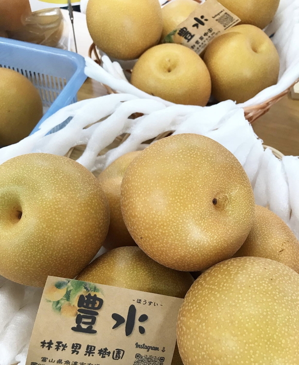 【早期予約】魚津：林秋男果樹園の完熟梨「豊水」5kg｜フルーツ なし 富山県魚津市　※北海道・沖縄・離島への配送不可　※2025年9月上旬頃より順次発送予定