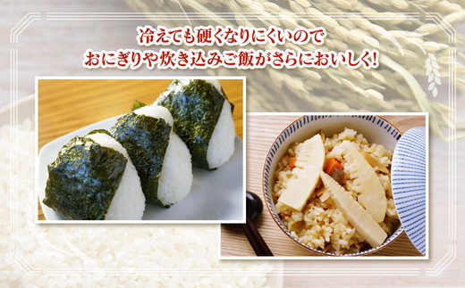 【12ヶ月定期便】【令和6年度米】「魚津のミルキークイーン（晃米）」5kg（白米） ｜新米 環境配慮 MK農産 お米 ブランド米 銘柄米 精米 ご飯 おにぎり 産地直送 甘み 粘り もちもち ※2024年10月下旬頃より順次発送予定 ※北海道・沖縄・離島への配送不可