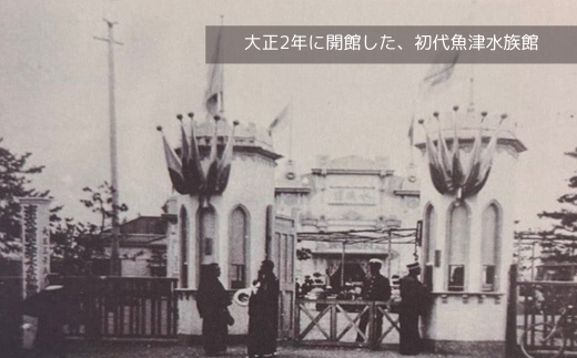 魚津水族館 入館チケット1枚引換券/一般(高校生以上)※北海道・沖縄・離島への配送不可