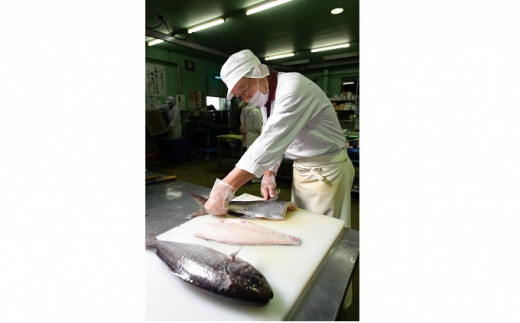 こぶじめ・ひとりじめ 6セット (緑帯×6パック)