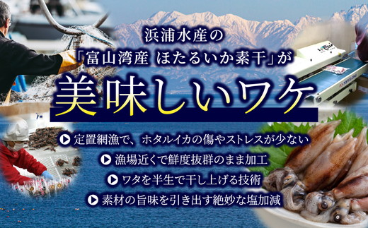 ほたるいか 素干し 2種 5袋 セット オリジナル ピリ辛 | 全国水産加工業協同組合連行会会長賞受賞 浜浦水産 おつまみ つまみ 珍味 いか イカ 干物 ひもの 魚介 魚介類 海鮮　※北海道、沖縄、離島への配送不可