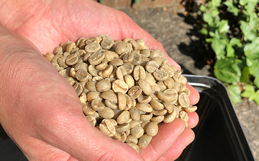 【粉】マサマキリマンジャロKIBO500g 自家焙煎コーヒーとみかわ 富山 魚津