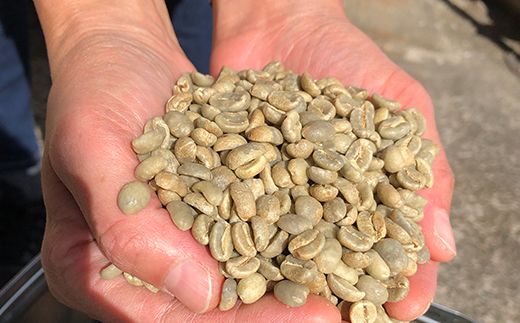 【粉】天空のコロンビア500g 自家焙煎コーヒーとみかわ 富山 魚津