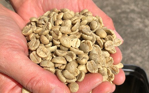 【粉】コロンビアアンジェリカ500g 自家焙煎コーヒーとみかわ 富山 魚津