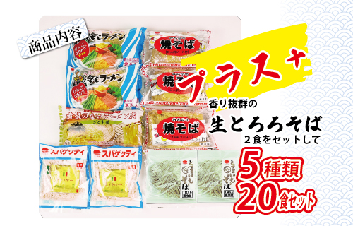 夏のめんお楽しみセット(5種類20食分)｜焼きそば 中華ざる ラーメン 石川製麺 ※北海道・沖縄・離島への配送不可 ◇