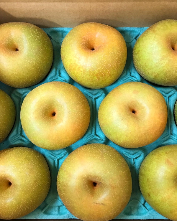 【早期予約】【プレミアム】林秋男果樹園の完熟梨「幸水」5kg｜フルーツ なし 富山県魚津市　※北海道・沖縄・離島への配送不可　※2024年8月中旬頃より順次発送予定