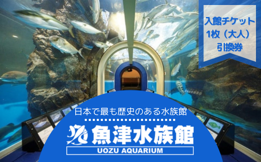 魚津水族館 入館チケット1枚引換券/一般(高校生以上)※北海道・沖縄・離島への配送不可