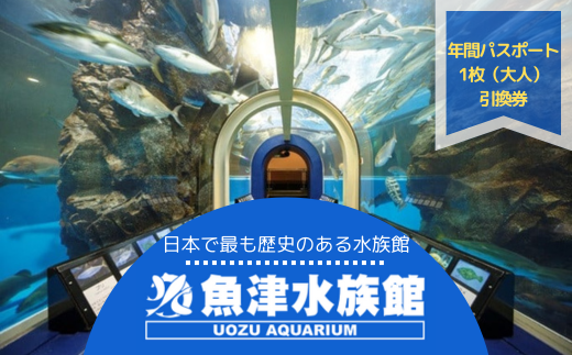 魚津水族館 入館年間パスポート引換券/一般(高校生以上)※北海道・沖縄・離島への配送不可