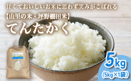 山の湧き水 寒暖差 山里 山里の米･坪野米 R7年産 てんたかく 5kg ｜新米 こめ コメ お米 おこめ 白米 精米 お弁当 おにぎり 香り うまみ あまみ 富山 魚津　※北海道・沖縄・離島への配送不可