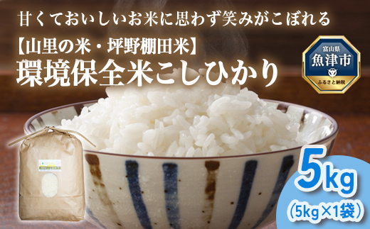 山の湧き水 寒暖差 山里 山里の米･坪野米 R7年産 環境保全米こしひかり 5kg　※北海道・沖縄・離島への配送不可　※2025年9月下旬～2025年10月中旬頃に順次発送予定
