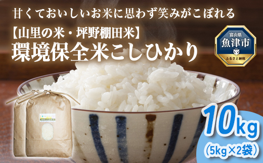 山の湧き水 寒暖差 山里 山里の米･坪野米 R7年産 環境保全米こしひかり 10kg　※北海道・沖縄・離島への配送不可　※2025年9月下旬～2025年10月中旬頃に順次発送予定