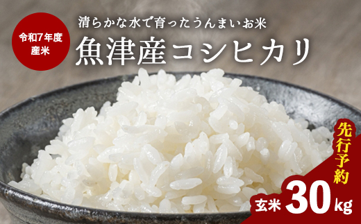 【先行予約】【R7年度産米】収穫後すぐにお届け 富山県魚津市 布施の里コシヒカリ玄米30kg ※北海道・沖縄・離島への配送不可　※2025年9月下旬頃より順次発送予定