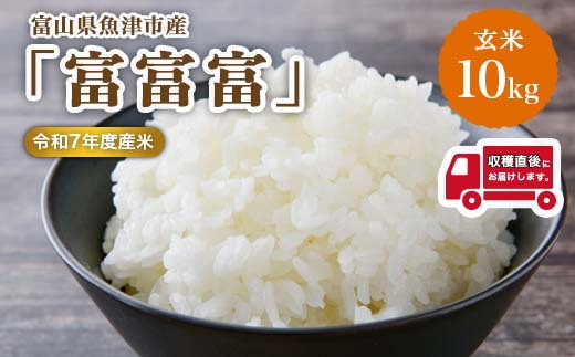 富山県魚津市産の富富富 10kg(玄米) ※北海道・沖縄・離島への配送不可 ※2025年9月下旬～12月下旬頃に順次発送予定
