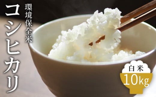 令和7年産 白米 環境保全米 コシヒカリ 10kg｜棚田米 お米 こしひかり 新米 こめ コメ 精米 おこめ もちもち 冷めても 美味しい 高品質 富山 魚津※北海道・沖縄・離島への配送不可 ※2025年10月上旬～2026年3月下旬頃に順次発送予定