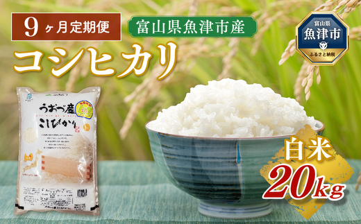 【令和7年度米】【9ヶ月定期便】富山県 うおづ産米「コシヒカリ」20kg（5kg×4袋）（精米）｜9ヶ月定期便 9回 9ヶ月 こしひかり こめ コメ お米 おこめ 白米 精米 雪解け水 香り うまみ あまみ 冷めても 美味しい おにぎり お弁当 高品質 魚津市 ※北海道・沖縄・離島への配送不可