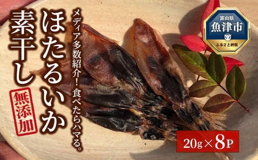 ほたるいか 素干し 160g (20g×8袋 )セット | 全国水産加工業協同組合連行会会長賞受賞 浜浦水産 おつまみ つまみ 珍味 いか イカ 干物 ひもの 魚介 魚介類 海鮮　※北海道、沖縄、離島への配送不可