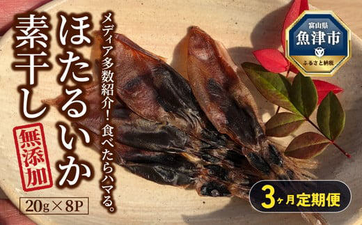 【3ヶ月定期便】ホタルイカ素干し 160g (20g×8袋 )　※北海道、沖縄、離島への配送不可