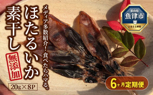 【6ヶ月定期便】ホタルイカ素干し 160g (20g×8袋 )　※北海道、沖縄、離島への配送不可