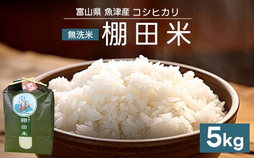 米 令和7年 コシヒカリ 5kg 無洗米 棚田米 ※北海道・沖縄・離島への配送不可