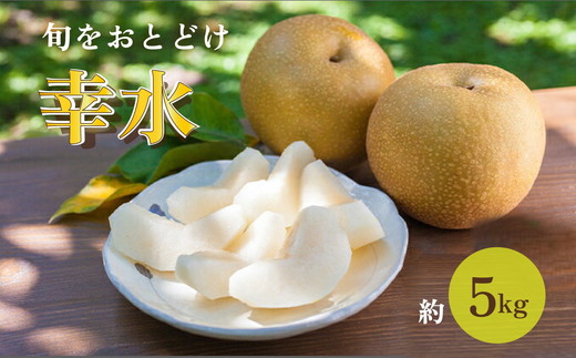 中島果樹園の梨「幸水」約5kg 富山県魚津産 ※北海道・沖縄・離島への配送不可 ※2025年8月下旬～9月上旬頃に順次発送予定