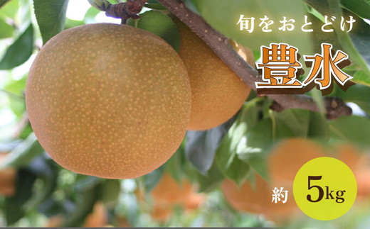中島果樹園の梨「豊水」約5kg 富山県魚津産 ※北海道・沖縄・離島への配送不可 ※2025年8月下旬～9月中旬頃に順次発送予定