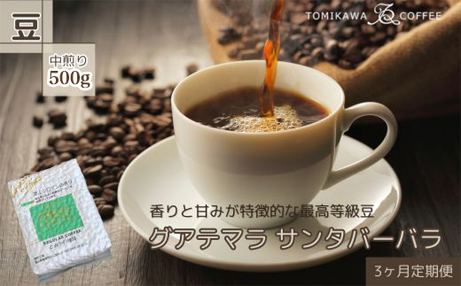 【3ヶ月定期便】自家焙煎コーヒー豆専門店とみかわの「グアテマラ　サンタバーバラ」500g（豆）